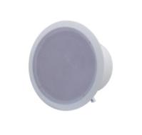 DS-675 Р“СЂРѕРјРєРѕРіРѕРІРѕСЂРёС‚РµР»СЊ РїРѕС‚РѕР»РѕС‡РЅС‹Р№, 20Р’С‚, TADS