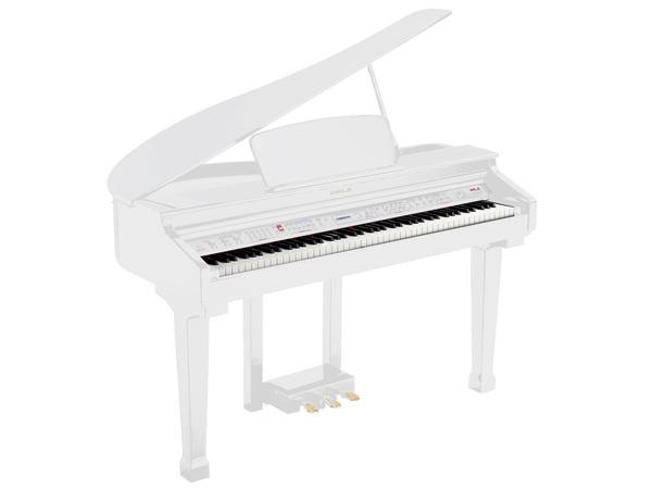 Grand-120-WHITE Р¦РёС„СЂРѕРІРѕР№ СЂРѕСЏР»СЊ, СЃ Р°РІС‚РѕР°РєРєРѕРјРїР°РЅРµРјРµРЅС‚РѕРј, Р±РµР»С‹Р№ (2 РєРѕСЂРѕР±РєРё), Orla