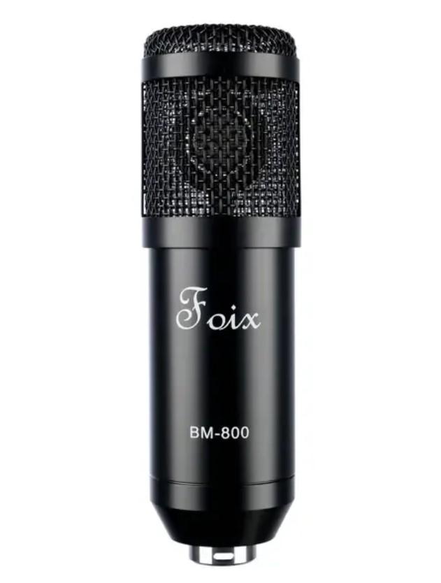 BM800 РњРёРєСЂРѕС„РѕРЅ, Foix