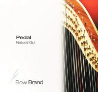 BBPAV-F1-S РћС‚РґРµР»СЊРЅР°СЏ СЃС‚СЂСѓРЅР° F (1 РѕРєС‚Р°РІР°) РґР»СЏ РїРµРґР°Р»СЊРЅРѕР№ Р°СЂС„С‹, Р¶РёР»Р°, Bow Brand