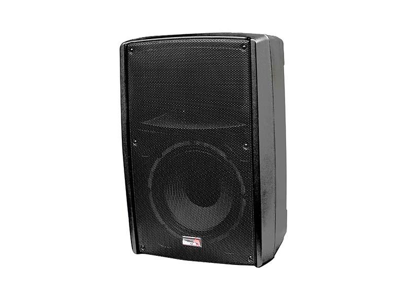 B2-110-power РђРєС‚РёРІРЅР°СЏ Р°РєСѓСЃС‚РёС‡РµСЃРєР°СЏ СЃРёСЃС‚РµРјР°, 300Р’С‚, Biema