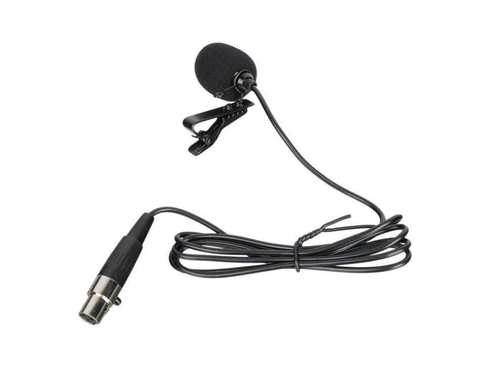 C5 РњРёРєСЂРѕС„РѕРЅ РїРµС‚Р»РёС‡РЅС‹Р№, LAudio