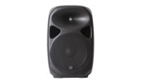 SPA-15 РђРєСѓСЃС‚РёС‡РµСЃРєР°СЏ СЃРёСЃС‚РµРјР° Р°РєС‚РёРІРЅР°СЏ, MP3, SD, USB, BT, 100Р’С‚, Leem