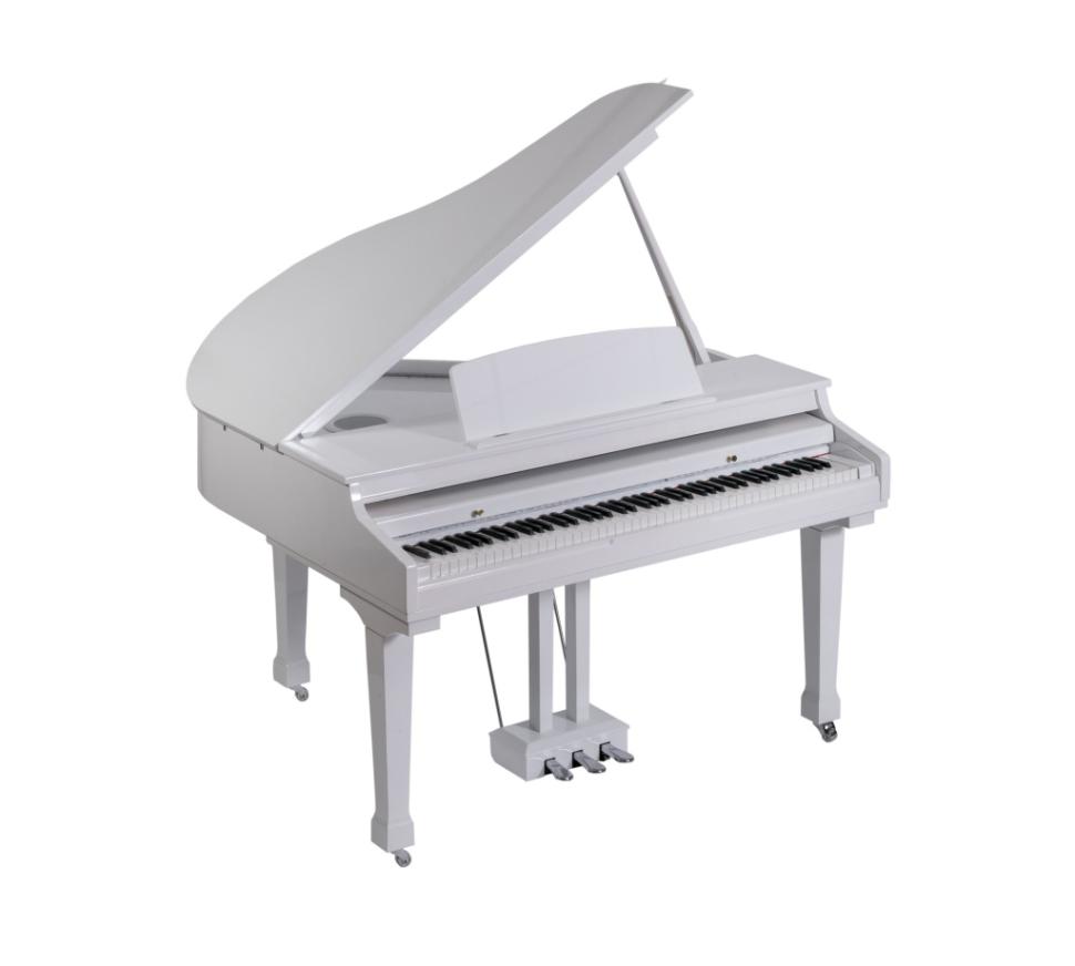 Grand-500-WHITE Р¦РёС„СЂРѕРІРѕР№ СЂРѕСЏР»СЊ, СЃ Р°РІС‚РѕР°РєРєРѕРјРїР°РЅРµРјРµРЅС‚РѕРј, Р±РµР»С‹Р№ (2 РєРѕСЂРѕР±РєРё), Orla