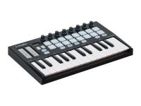 ORCA-MINI25 MIDI-РєРѕРЅС‚СЂРѕР»Р»РµСЂ, 25 РєР»Р°РІРёС€, LAudio
