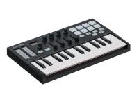 PANDAMINI-II MIDI-РєРѕРЅС‚СЂРѕР»Р»РµСЂ, 25 РєР»Р°РІРёС€, LAudio