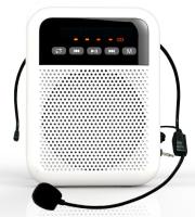 WS-VA030 РџРµСЂРµРЅРѕСЃРЅРѕР№ РіСЂРѕРјРєРѕРіРѕРІРѕСЂРёС‚РµР»СЊ РґР»СЏ РіРёРґР°, 5Р’С‚, LAudio