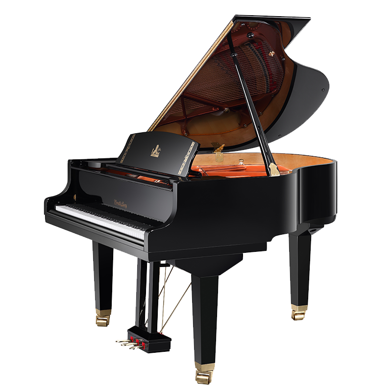 W152BK Р РѕСЏР»СЊ Р°РєСѓСЃС‚РёС‡РµСЃРєРёР№, С‡РµСЂРЅС‹Р№ Wendl&Lung